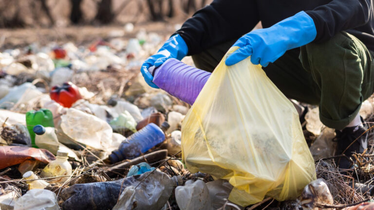 Increible! Se enamoraron mientras recolectaban basura y actualmente tienen una empresa de reciclaje