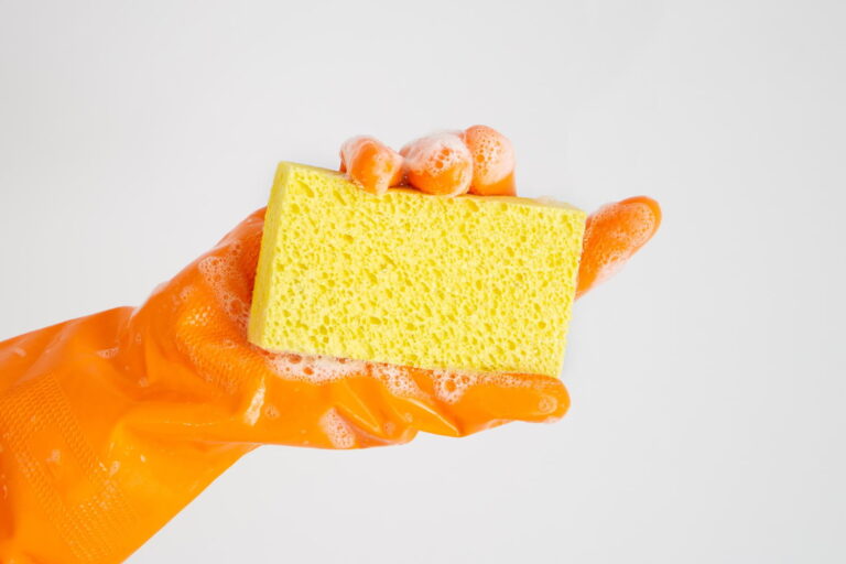 ¿Con qué frecuencia debo cambiar la esponja para platos?