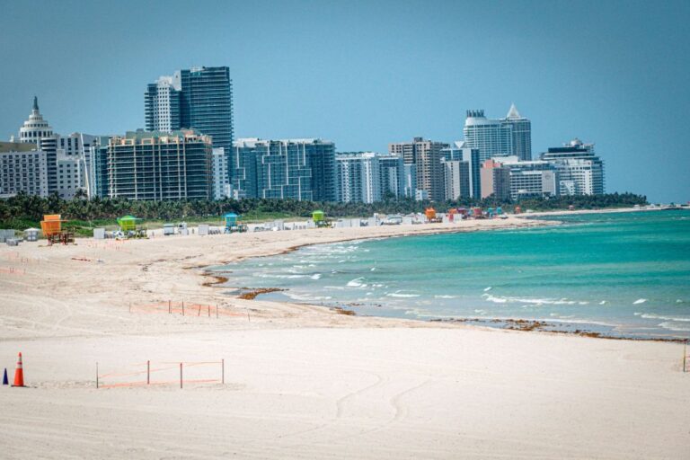 Restos de un feto llegan “misteriosamente” a la costa de Miami Beach