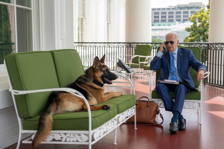 Commander, el perro de Biden, mordió a personal del Servicio Secreto en al menos 24 veces