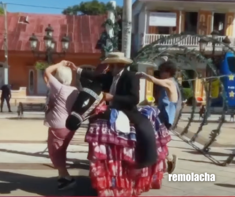 ‘Burra’ que baila se ha convertido en ícono de República Dominicana – Remolacha