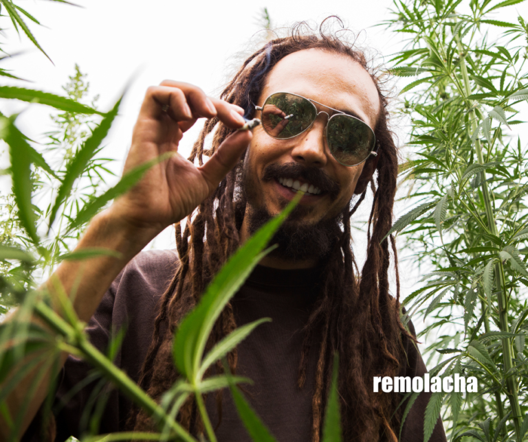 Uso de marihuana vinculado a riesgo de ataque cardíaco y ACV – Remolacha