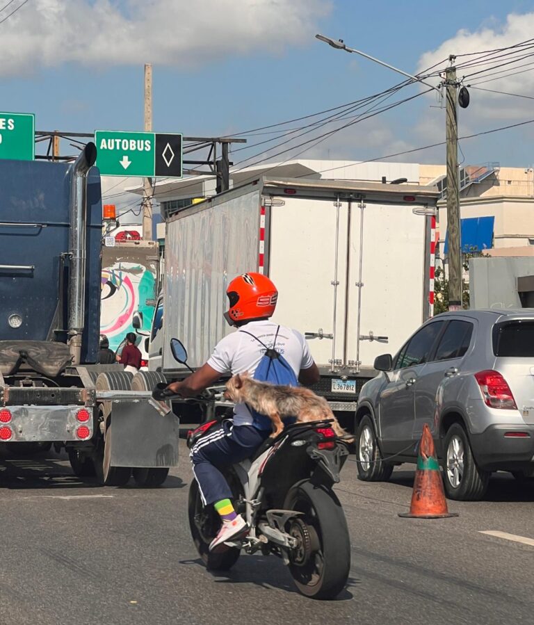 Hombre transita con perro a bordo en una motocicleta sin placa