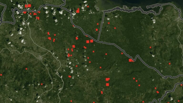 Arde de nuevo el Parque Nacional Los Haitises – Remolacha