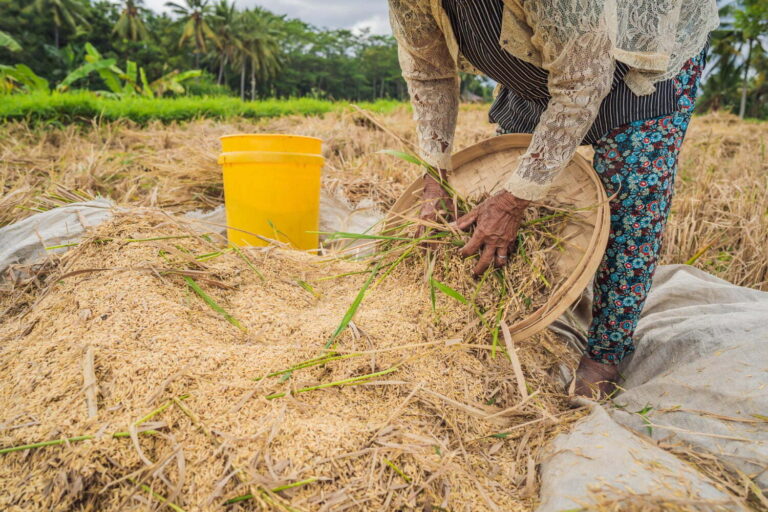 Un pueblo filipino intercambia arroz por residuos plásticos para combatir la contaminación