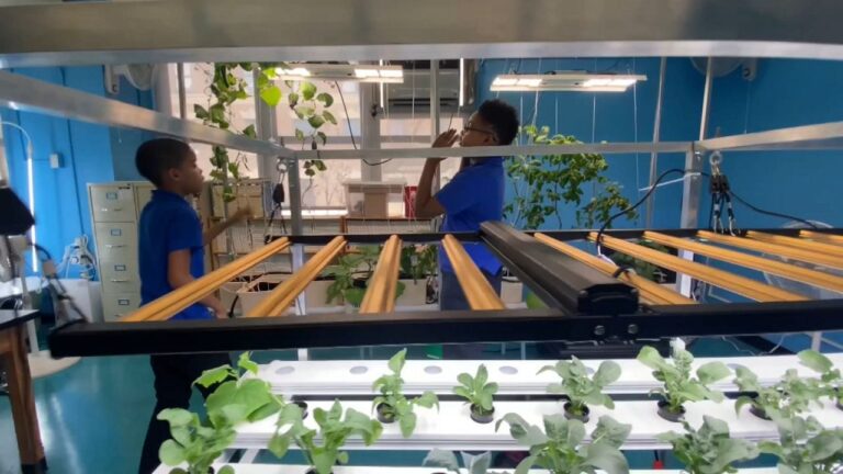 Estudiantes siembras plantas y estudian ciencia -con agua
