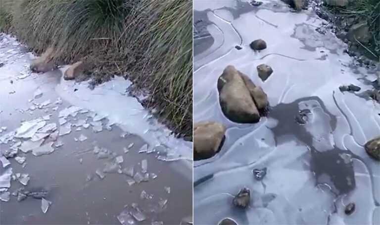 Arroyo en el Pico Duarte