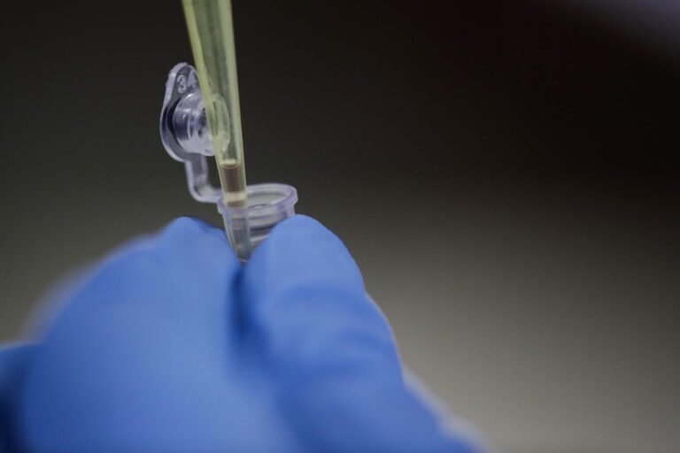 Un nuevo anticuerpo logra bloquear todas las variantes del SARS-CoV-2 en laboratorio