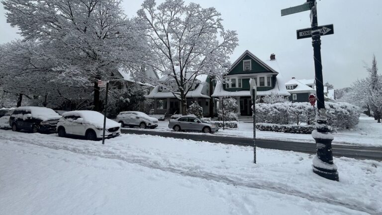 Brooklyn y Staten Island registran varias pulgadas de nieve