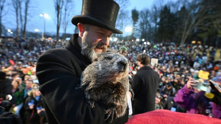 Punxsutawney Phil predice primavera temprana, Día de Marmota