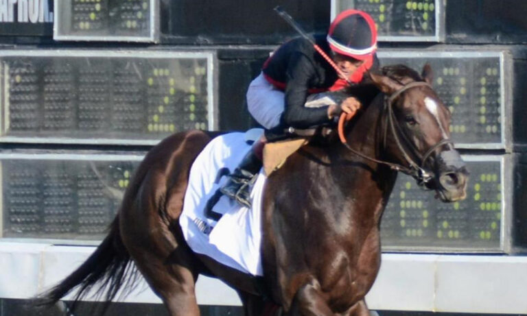 Zumbadora es favorita para ganar Clásico Día de San Valentín