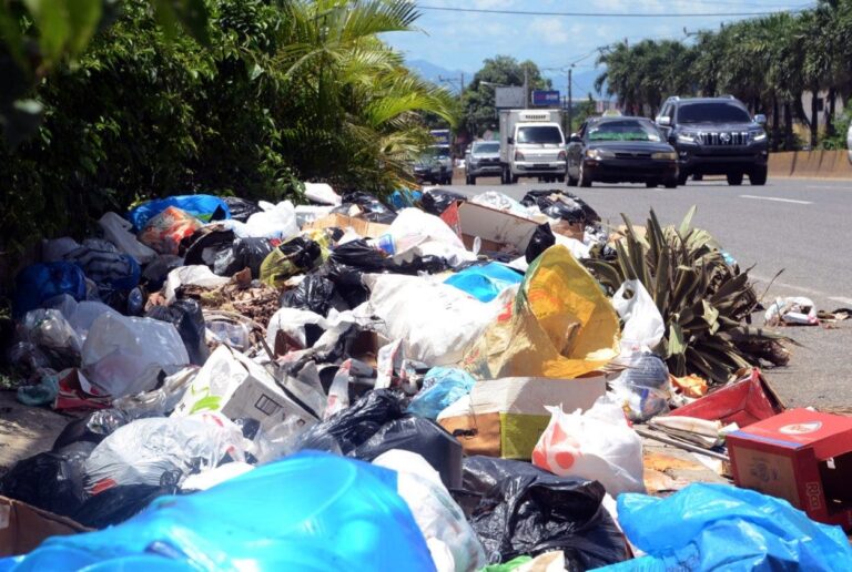 Concejal del PRM asegura Alcaldía abandona recogida de basura