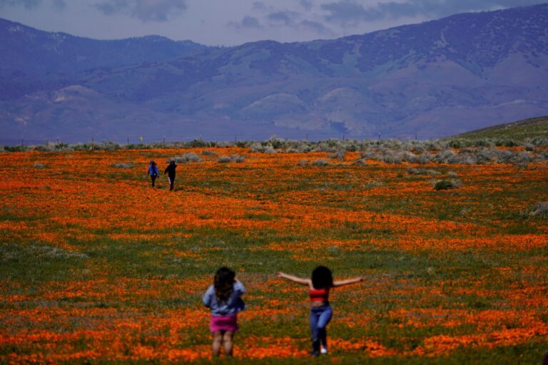 5 ciudades de Estados Unidos que hay que visitar en primavera