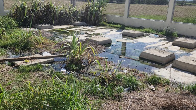 Denuncian foco de contaminación en residencial “Mi Vivienda”