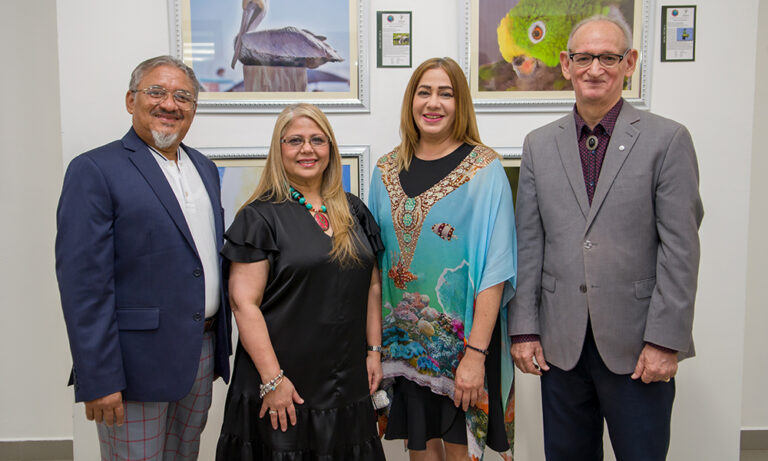 Centro Cultural Perelló inaugura la exposición “Alas & Aletas”