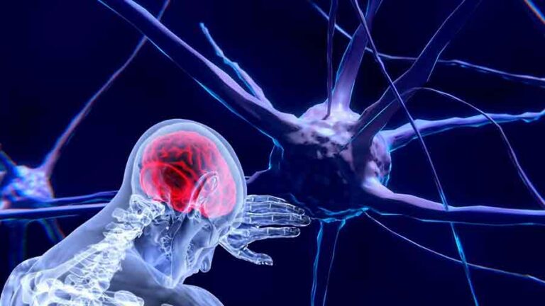 43% de la población mundial padece alguna enfermedad neurológicos