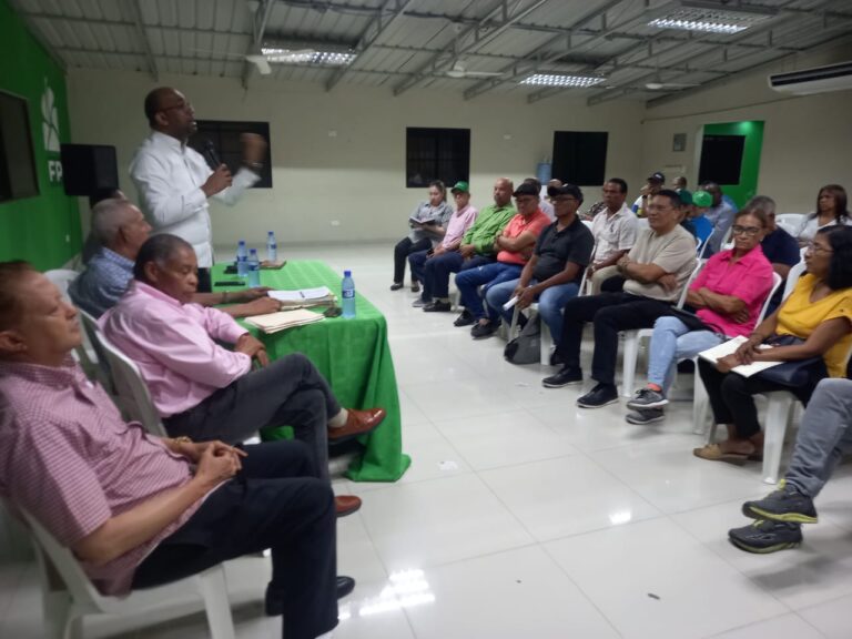 Marcha jornada fidelización Fuerza del Pueblo en Santo Domingo Este