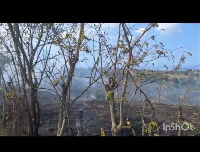 Varios incendios se producen en distintos lugares en La Vega