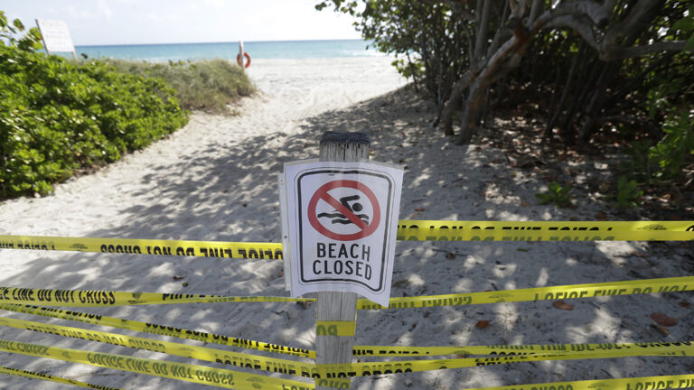 Cierran una playa en Brasil tras el ataque de pirañas a 15 personas