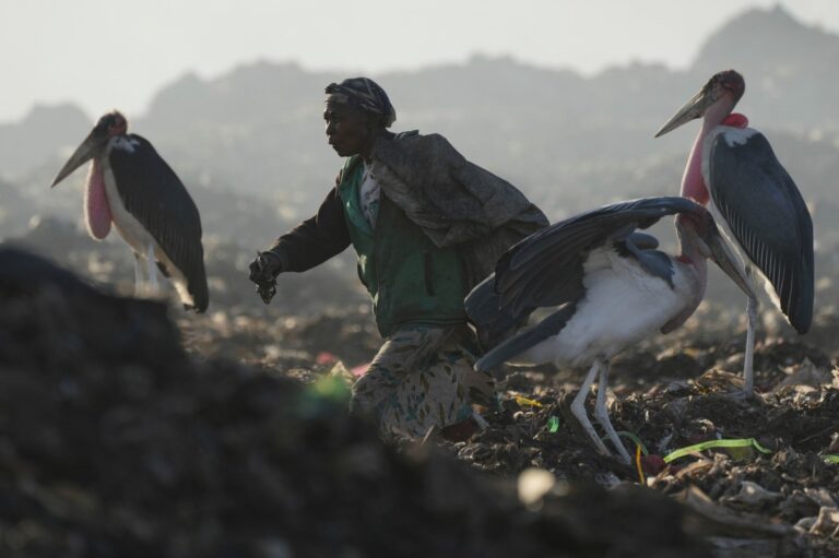 Basura electrónica “ahoga” al mundo; ONU advierte que humanidad generó 62 millones de toneladas #FVDigital