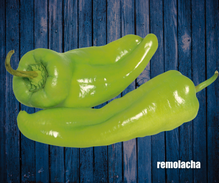 RD: Alimentos que subieron de precio en enero – Remolacha