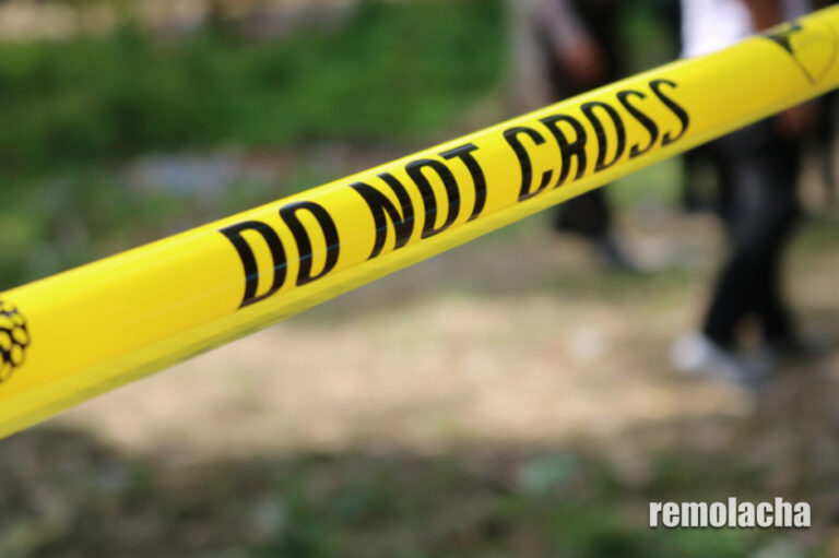 Niños encuentran un brazo en parque de Long Island