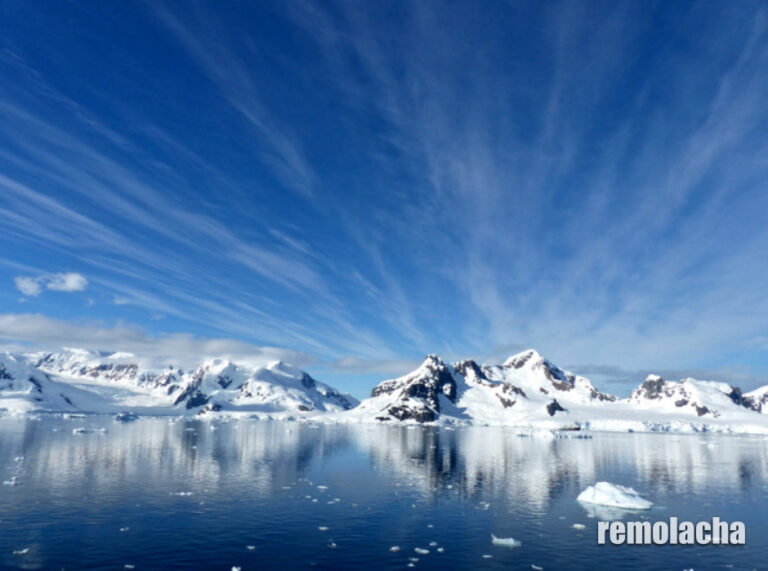 ‘Todo el hielo del Ártico podría derretirse en 10 años’ – Remolacha   #FVDigital