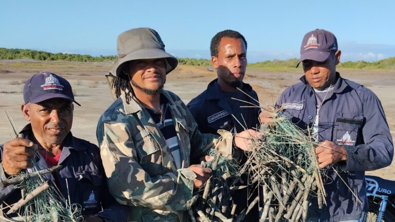 RD: Retiran 1,038 trampas para aves – Remolacha   #FVDigital