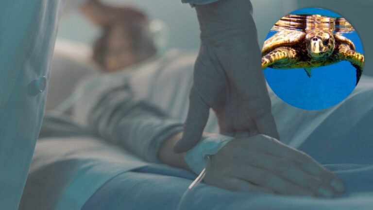 ¡Tragedia! Ocho niños y una mujer mueren, mientras 78 luchan por su vida tras comer carne de tortuga #FVDigital