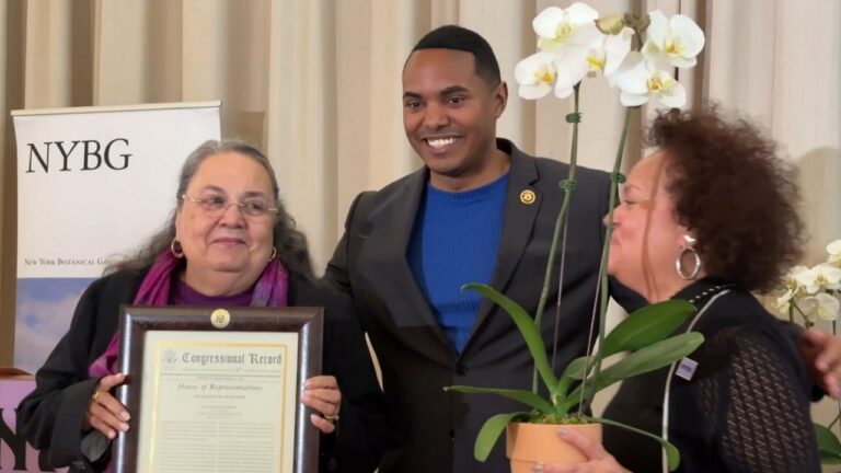 Homenaje a mujeres destacadas en El Bronx