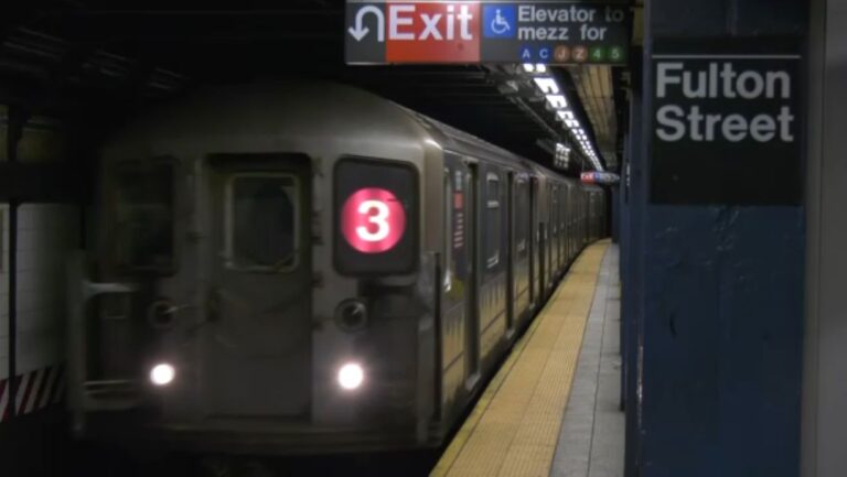 Mujer es empujada a las vías de tren