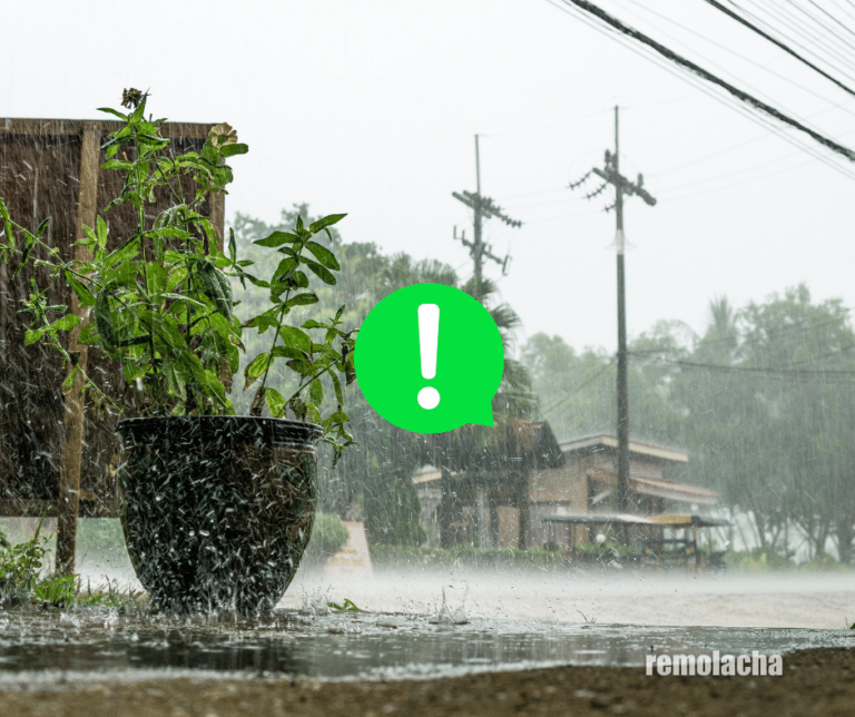 COE coloca 6 provincias en alerta verde por aguaceros   #FVDigital