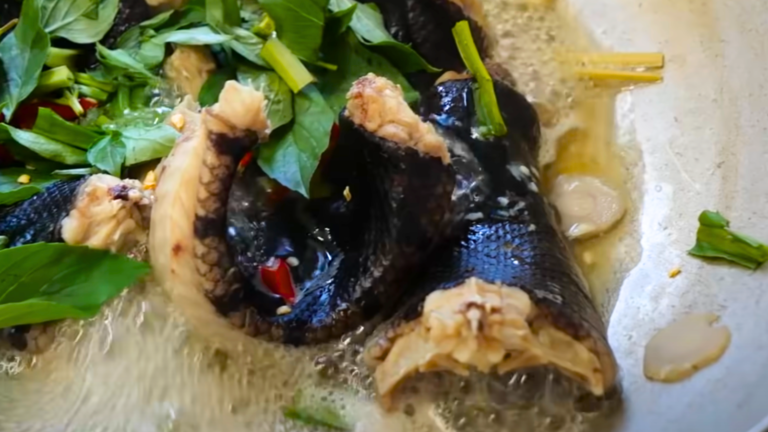 Estudio: Es mejor comer carne de pitón que de vaca   #FVDigital