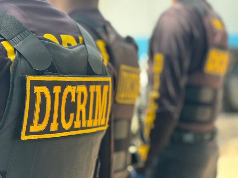 Policiales: DICRIM reporta 23 detenidos y ocupación de 13 armas de fuego, 206 cartuchos y 24 porciones de sustancias narcóticas en dos días. – Policía Nacional Dominicana