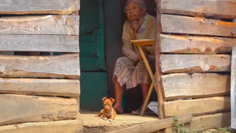 Sola con su perrito guardián en el campo   #FVDigital