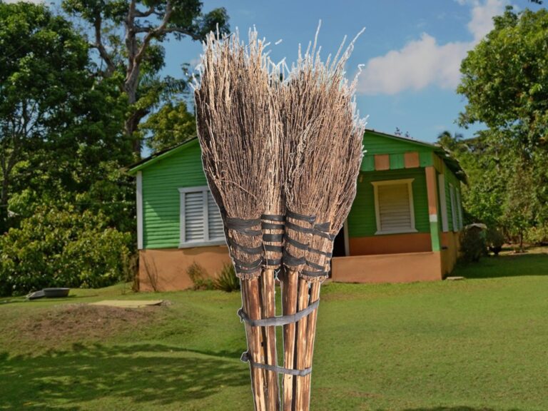 Las tradicionales escobas de ramos   #FVDigital