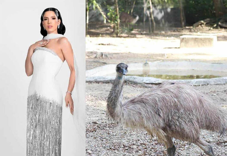 Los memes de los Premios Soberano 2024