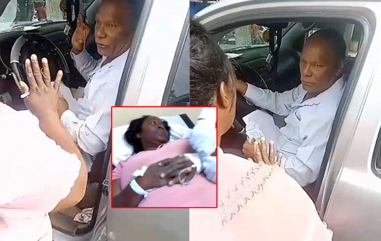 La señora Dominga Chivillí – LosMocanos