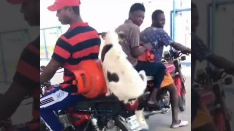 ¿Y usted con quién va a comprar el gas?