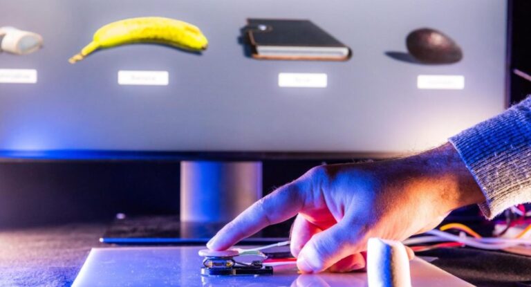 Investigadores crean una interfaz robótica capaz de imitar la sensación humana de suavidad #FVDigital