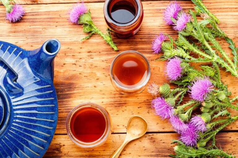 Beneficios del té de cardo mariano para el hígado