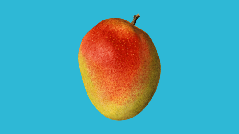 No botes la cáscara de mango   #FVDigital