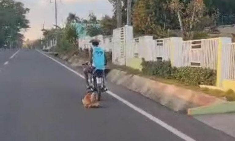 Apresan hombre arrastró perro atado a un motor en Hato Mayor