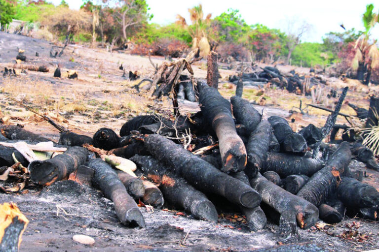 ‘Dunas de Baní en ruta a desaparecer’   #FVDigital