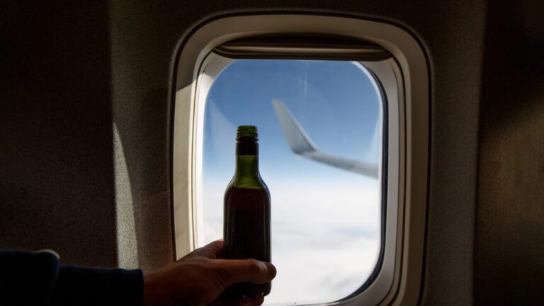 Pasajeros británicos se beben todo el alcohol de un avión #FVDigital