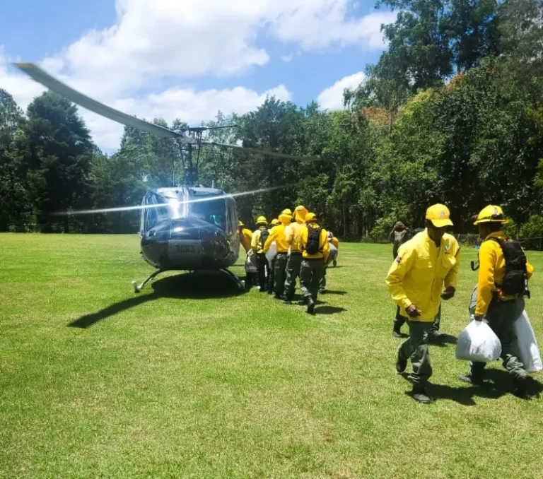 RD: Más de cien bomberos luchan contra fuego forestal – Remolacha   #FVDigital