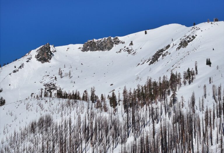 Por segundo año consecutivo, California registra en abril capa de nieve por encima del promedio #FVDigital