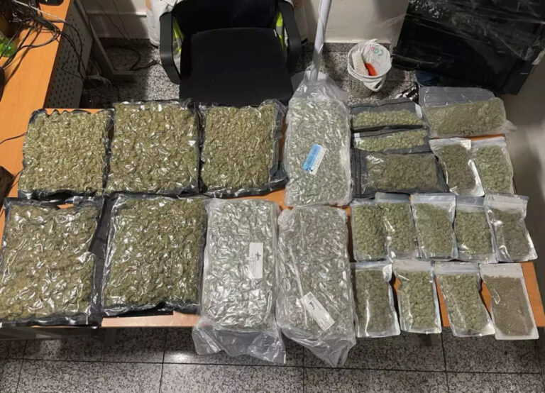 Decomisan 23 paquetes de ‘yerba’ en el AILA – Remolacha   #FVDigital
