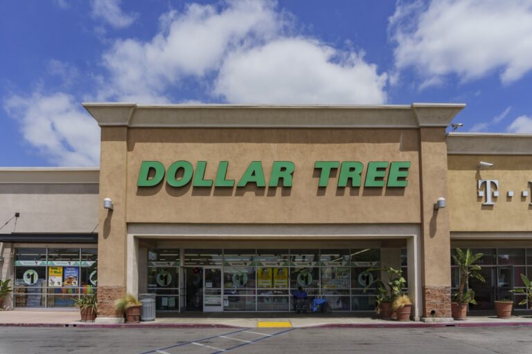 Las marcas de imitación más populares, según los clientes de Dollar Tree #FVDigital