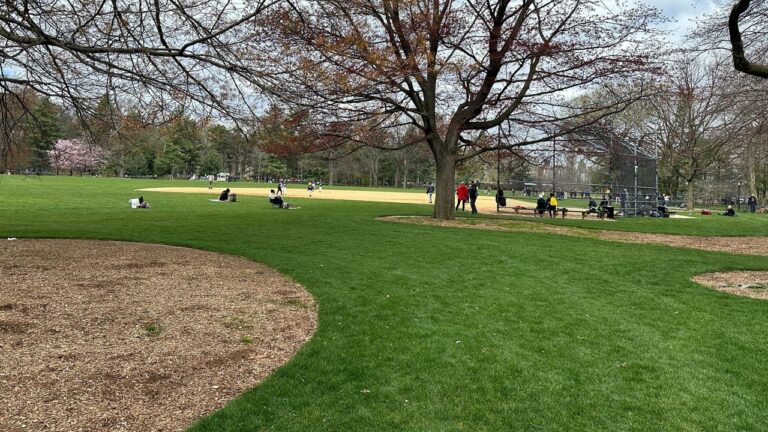 Autoridades alertan de una serie de atracos en Central Park